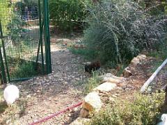 183 D21 SANARY SUR MER 1_000057